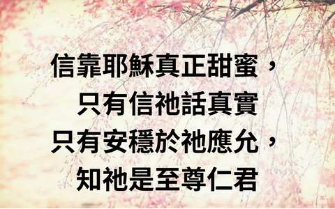 投影片 11