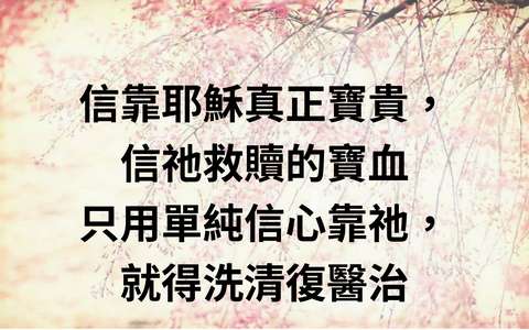 投影片 13