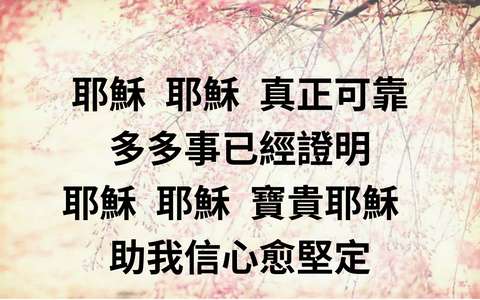投影片 14