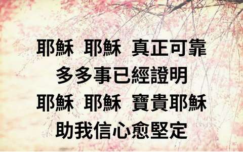 投影片 16