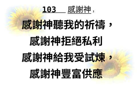 投影片 17