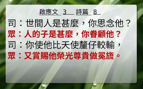 投影片 46
