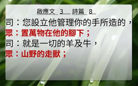 投影片 47