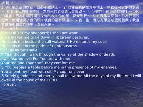 投影片 11