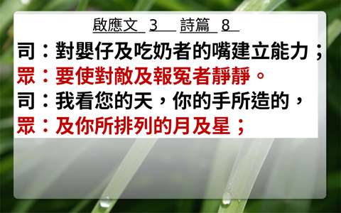 投影片 43
