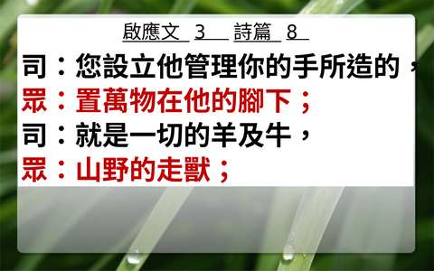 投影片 45