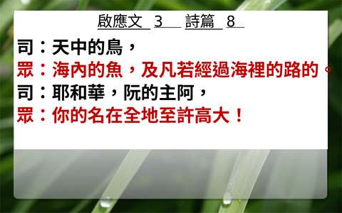 投影片 46