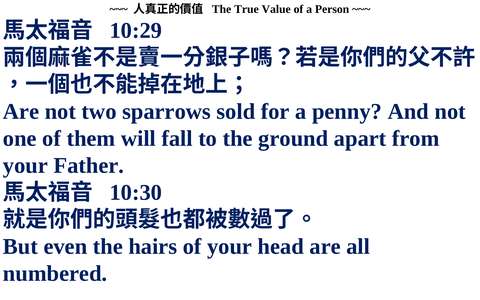 投影片 54