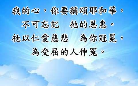 投影片 17