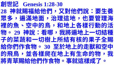投影片 49
